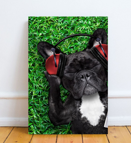 Cuadro Decorativo Bull Dog Francés 27x42cm Perros Mascotas