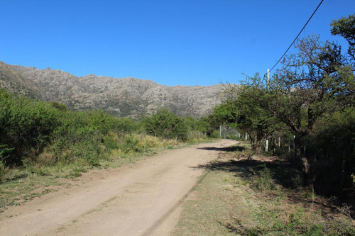 Terreno - Cortaderas