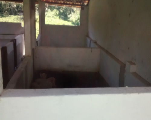 Imagem 23 de 30 de Sitio À Venda Em Juquitiba, - 21 - 32982657