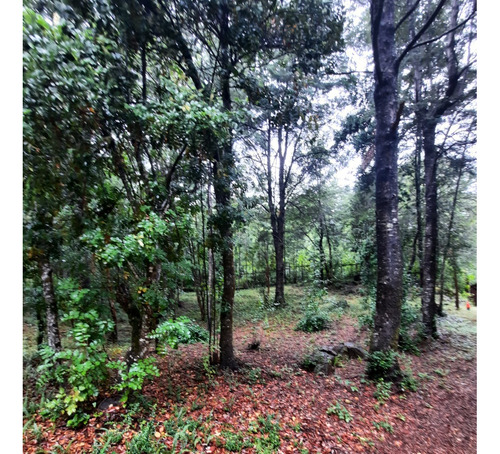 Los Jardines De Caburgua, Sector Riffo, Pucon