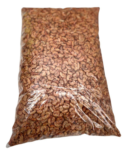 Pulga De Mar 1kg Para Erizos, Tortugas
