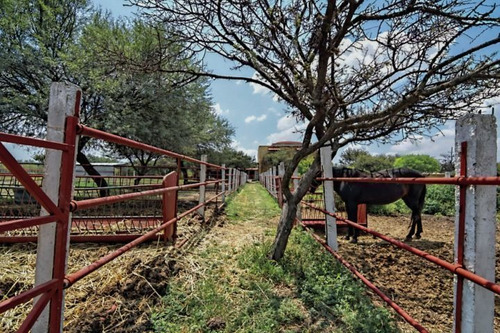 Imagen 3 de 23 de Ranchito Mi Sueño