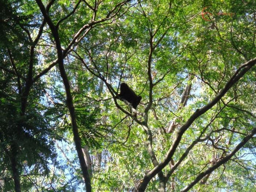 Imagem 17 de 29 de Terrenos Em Loteamento Fechado À Venda Em Mairiporã/sp - Compre O Seu Terrenos Em Loteamento Fechado Aqui! - 1385565