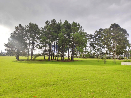 Imagen 19 de 26 de En Venta Casa En Chacra El Quijote- La Barra