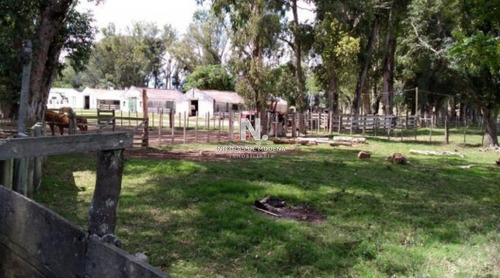 Buena Estancia Ganadera Y Forestal.- Ref: 3971