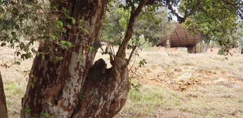 Imagem 8 de 27 de Sitio Com 2 Hectares A 4 Km Do Asfalto São João Da Boa Vista 600.000,00 - 33606