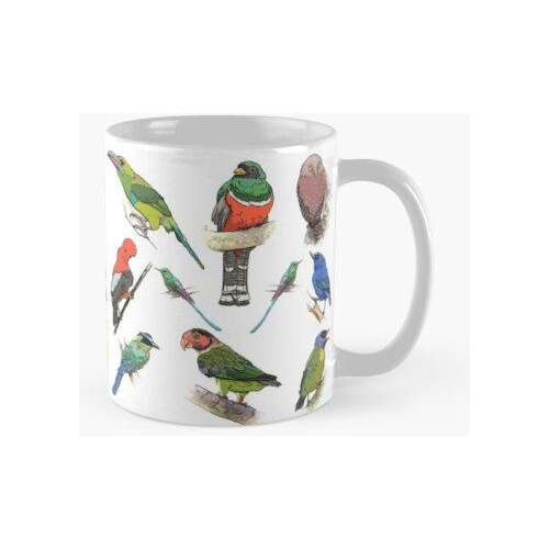 Taza Aves De Mashpi, Ecuador Calidad Premium