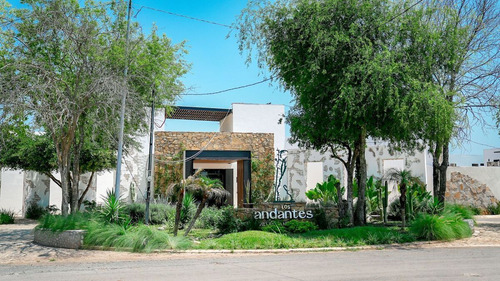 Casa En Venta En Los Lirios En Montemorelos