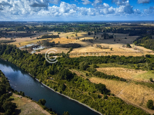 Imagen 18 de 21 de Parcelas A 18 Km De Rio Bueno Con Orilla De Rio