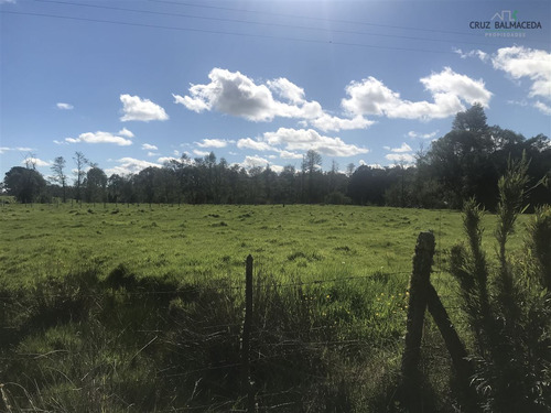 Agrícola En Venta En Puerto Varas , Nueva Braunau