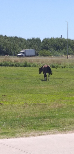 Imagen 15 de 17 de Galpon En 2 Lotes Mar De Ajo Propuesta Comercial