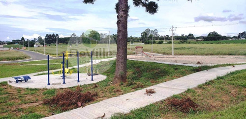 Terreno A Venda No Bairro Colônia Dona Luíza Em Ponta - 336-1