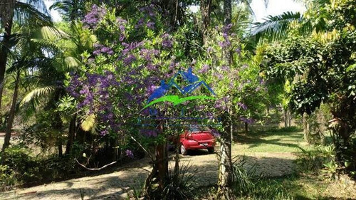 Imagem 13 de 15 de Chácara Em Jarinu - 724