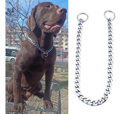 Collar Ahorcador Perros Adiestramiento Canino Mascotas New