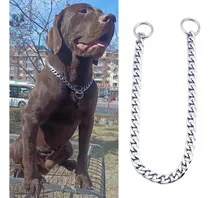 Comprar Collar Ahorcador Perros Adiestramiento Canino Mascotas New