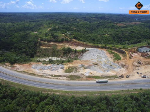 Imagem 1 de 8 de Terreno Em Simões Filho - Te00311 - 34790936