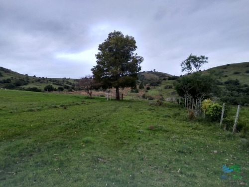 Imagen 29 de 30 de Vendo Excelente Chacra De 39 Hectáreas Para Granja Turística O Tambo, Aigua, Punta Del Este - Aiguá Aiguá