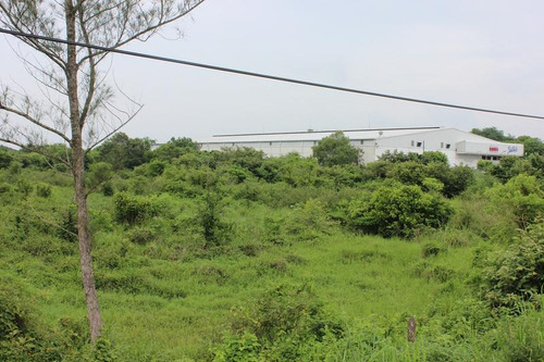 Venta Terreno Tuxpan Ver, Carretera Tuxpan-tamiahua 5 Has