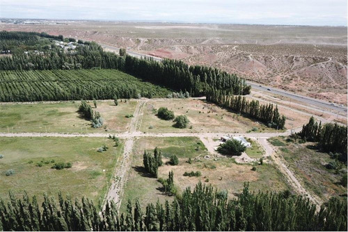 Imagen 26 de 30 de Terreno La Consuelo 499 Mts