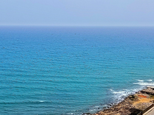 Imagen 13 de 14 de Apartamento En Venta Residencias La Riviera Urb Playa Grande La Guaira