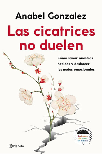 Las Cicatrices No Duelen - Anabel Gonzalez