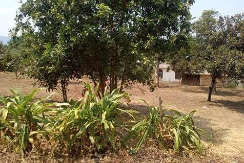 Venta De Terreno 240 M2 Con Clima Calido Tenancingo