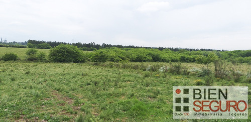 Chacra De 36,2440 Hás, Monte Nativo En Venta En Toledo Chico