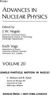 Libro Advances In Nuclear Physics : Volume 20 - J.w. Negele