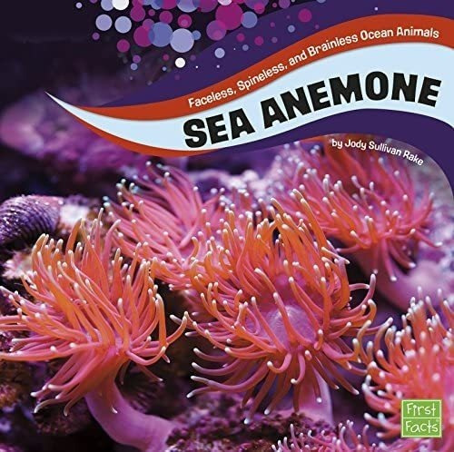Libro Sea Anemones Jody S. Rake En Ingles&..