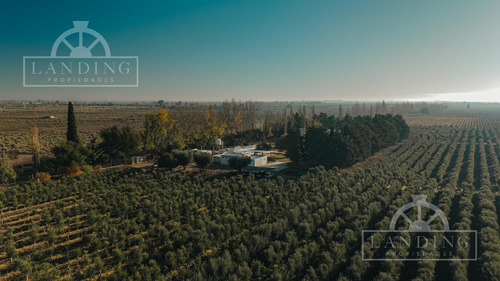 Finca Teberni En Mendoza