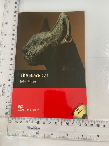 The Black Cat (Usado)