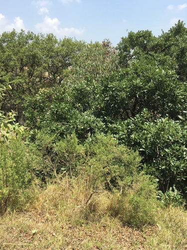 Venta De Terreno En Boulevard Bosque Real, Huixquilucan, Tvi1020