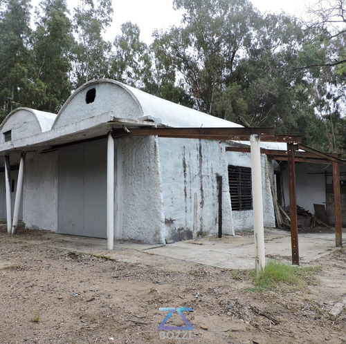 Imagen 3 de 8 de Venta O Alquiler De Terreno Con Edificación