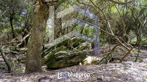Promo! Desde 30% De Descuento En Tu Chacra: Sierras Del Eden; Chacras De 5 Has A 17 Minutos De Pueblo Edén!