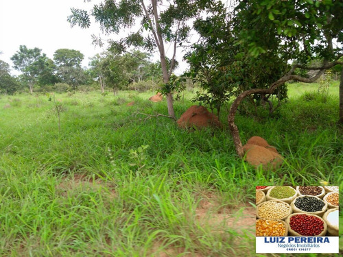 Imagem 12 de 15 de Fazenda A Venda No Formoso Do Araguaia-to-de 240 Alqueirões (dupla Aptidão) - 1669