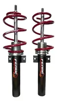 Comprar Suspensión Regulable Delantera Fox\u002Fsuran + Espirales One