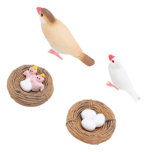 Figuras Educativas De Pvc Sobre El Ciclo De Vida De Aves, 4