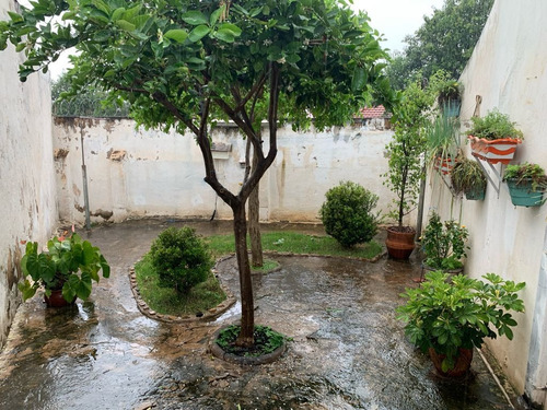Imagem 11 de 11 de Casa Vila Queiroz - Ca00503 - 70447253