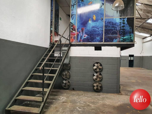 Imagem 17 de 17 de Comercial/industrial - Ref: 233903
