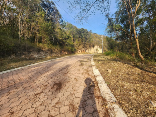 Venta Lote Gladiola 30 Muy Cerca Del Acceso Y En Calle Privada Con Vistas Panorámicas, Todos Los Servicios Y Proyecto Incluído En Fracc Rancho San Diego Ixtapan De La Sal Edomex