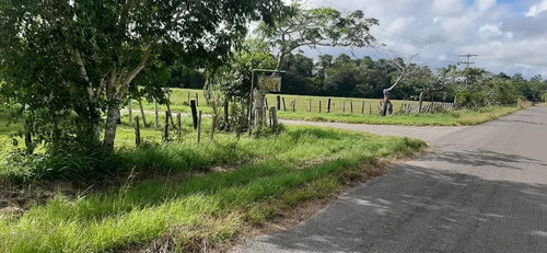 Imagen 22 de 27 de Se Vende Finca El Maitero Via El Sur De Monagas Ve02-1098vs-mtru