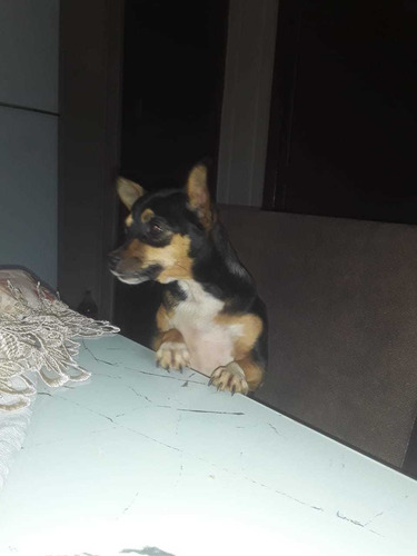 Imagem 1 de 1 de Alakakakaka