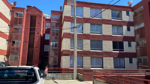 Arriendo Borinquen Viña Alto (81992)