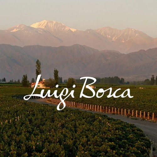 Vino Luigi Bosca Cabernet Sauvignon 750ml.- Df