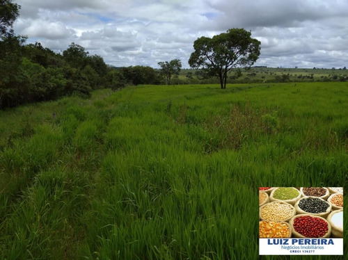 Fazenda Á Venda Em Recursolândia - Tocantins - (dupla Aptidão) - 1585