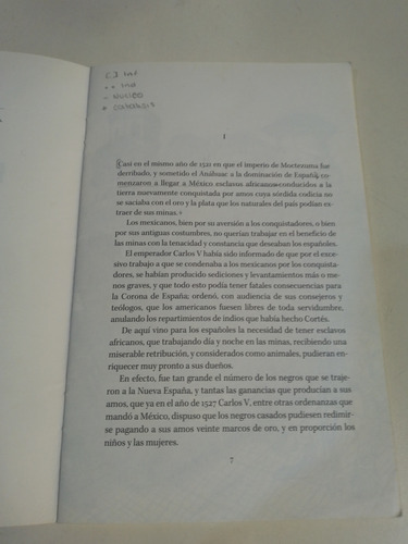 Los Treinta Y Tres Negros - Vicente Riva Palacio (Usado)