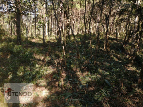Imagem 2 de 4 de Terreno À Venda, 2500 M² Por R$ 180.000,00 - Estância Angelina - Suzano/sp - Te0252
