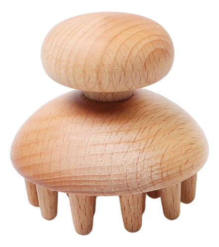 Großer Pilz Großer Pilz Pequeña Großer Pilz Pequeña