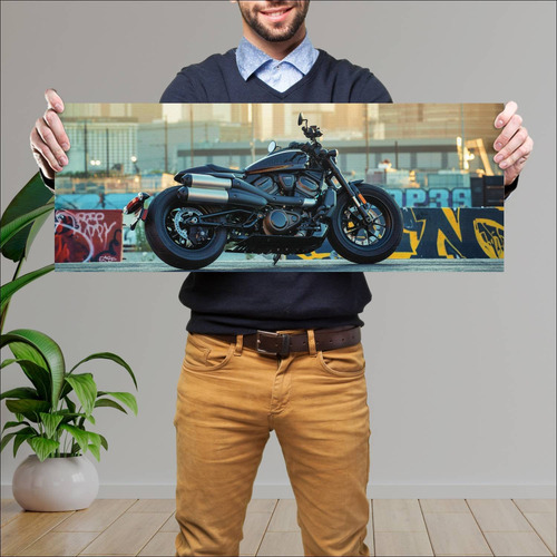 Cuadro 30x80cm Moto Harley Davidson Sportster 1