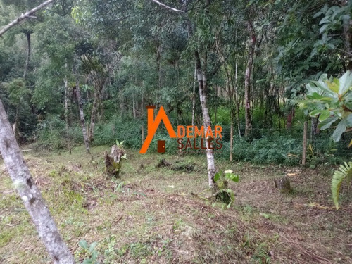 Imagem 22 de 30 de Chacara - Ch00125 - 70927858